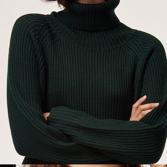 Wilfred Forest Green Turtle Neck - Picture 2 of 3